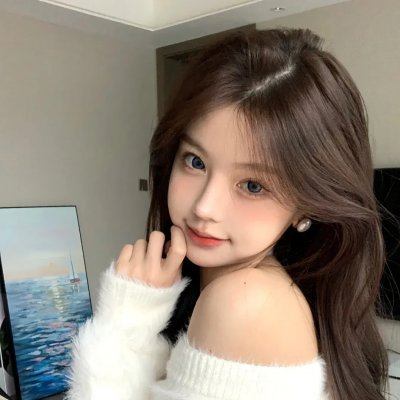 小鸟之翼第二季